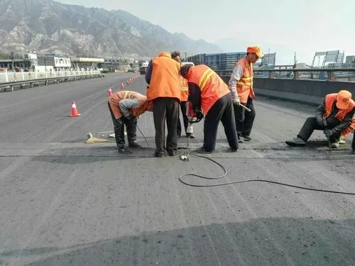 鄂伦春道路桥梁病害治理